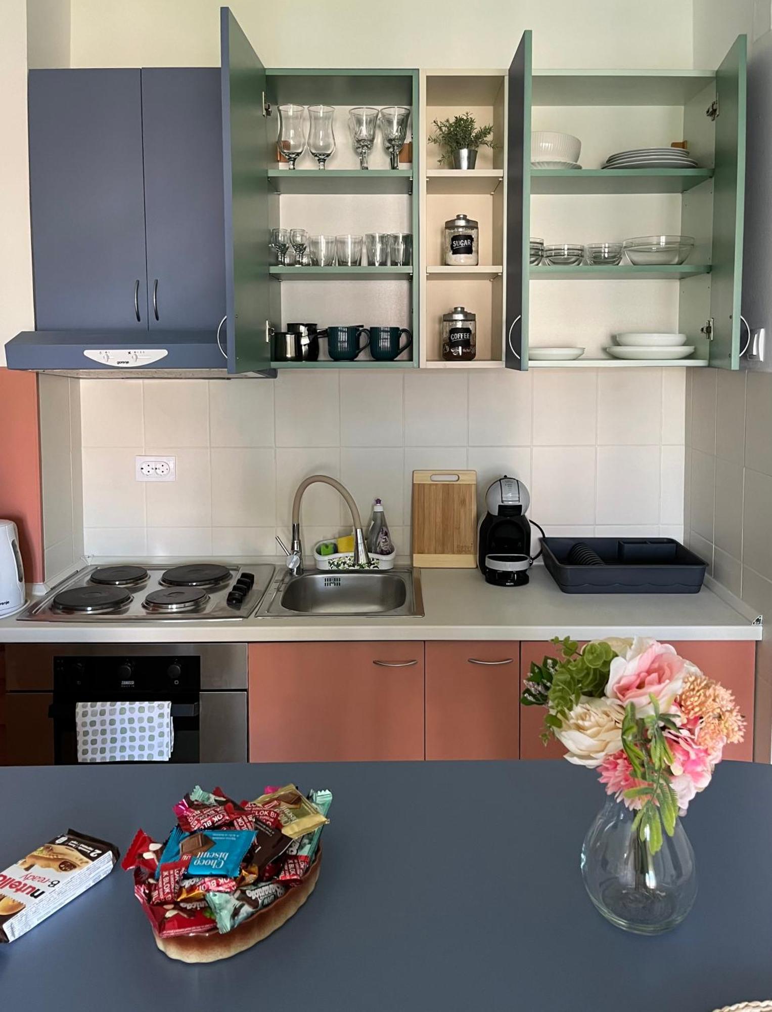 Apartment Vera With Free Garage Novi Sad Exterior foto
